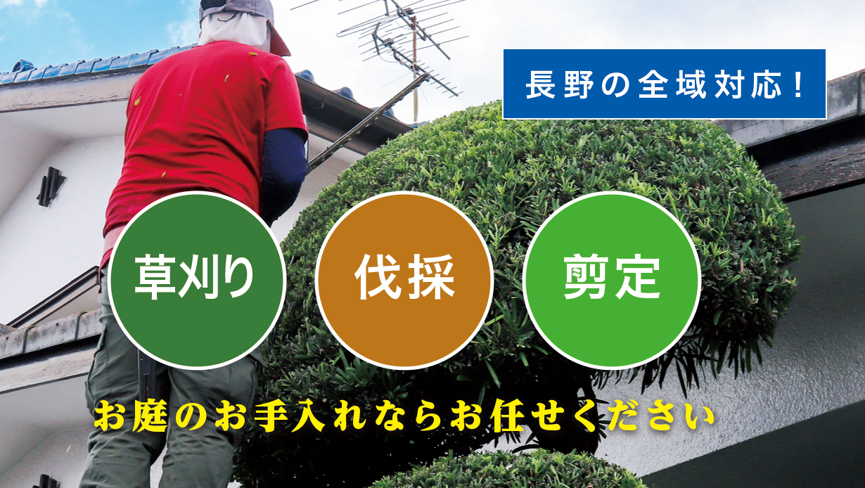 王滝村で草刈り・剪定・伐採なら「お庭の大将」