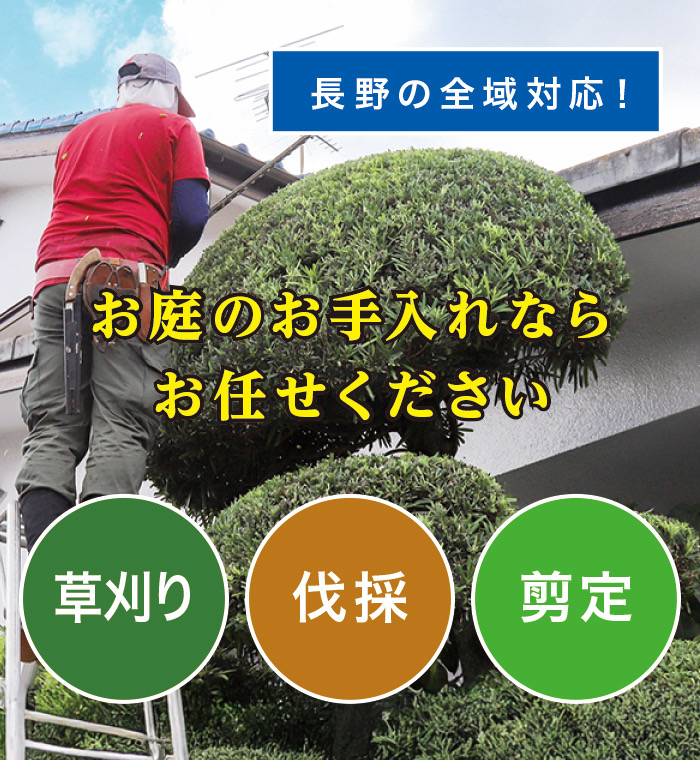 高山村で草刈り・剪定・伐採なら「お庭の大将」 高山村で草刈り・剪定・伐採なら「お庭の大将」